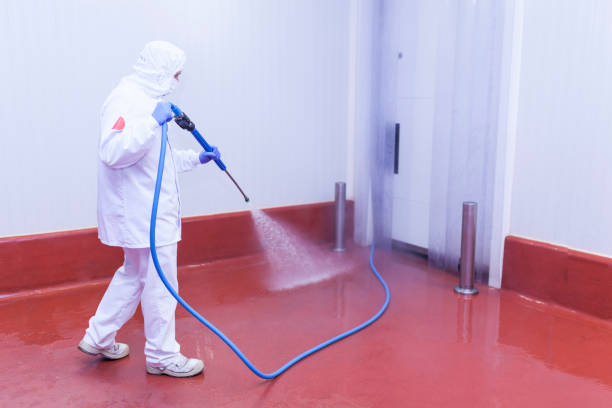 Boat and Dock Cleaning in Agoura Hills, CA